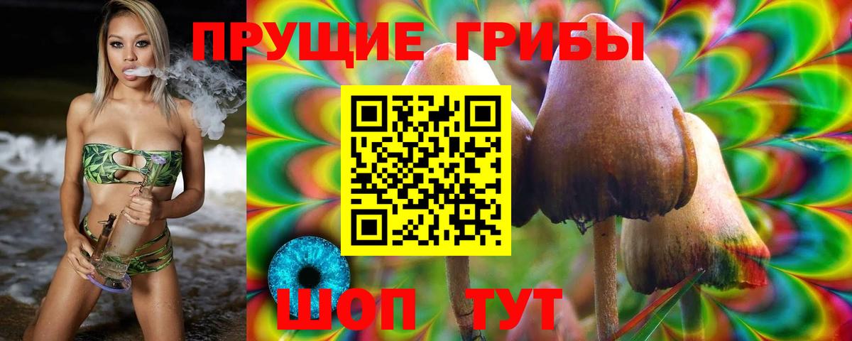 Псилоцибиновые грибы Magic Shrooms  Вход с VPN  Нефтекамск 