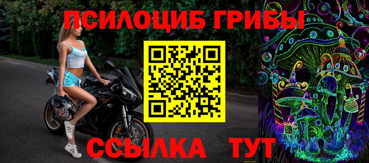 Псилоцибиновые грибы мицелий Нефтекамск
